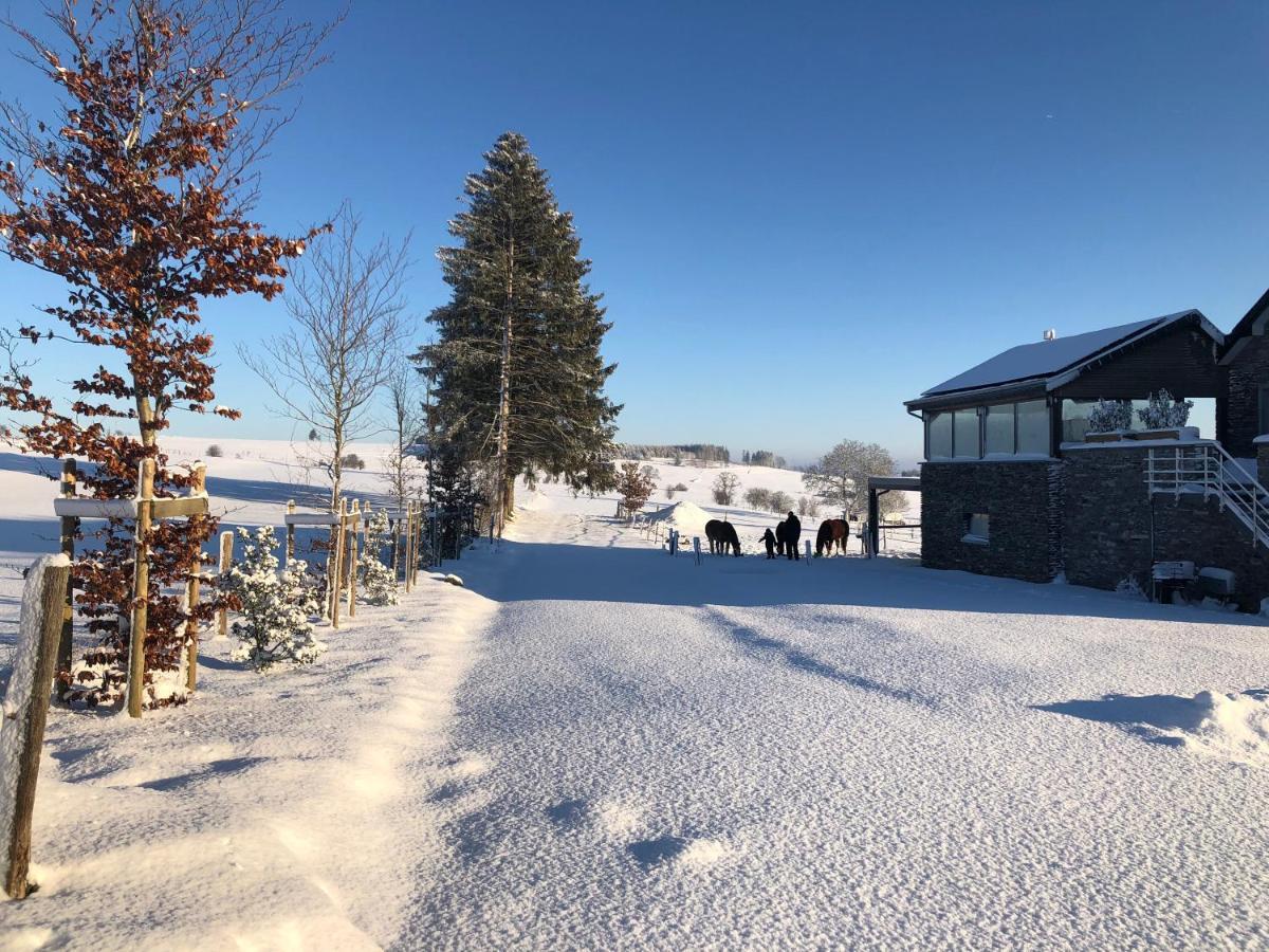 Pegasus I - 2 Chambres De Luxe, Cuisine, Salon, 2 Terrasses Et Sauna Vielsalm Exterior photo