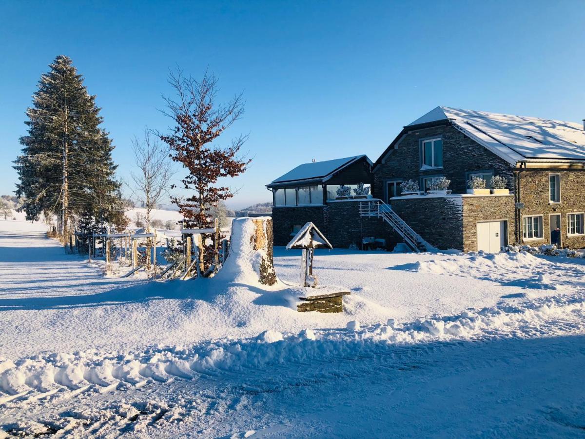 Pegasus I - 2 Chambres De Luxe, Cuisine, Salon, 2 Terrasses Et Sauna Vielsalm Exterior photo