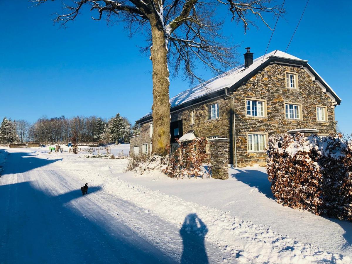 Pegasus I - 2 Chambres De Luxe, Cuisine, Salon, 2 Terrasses Et Sauna Vielsalm Exterior photo