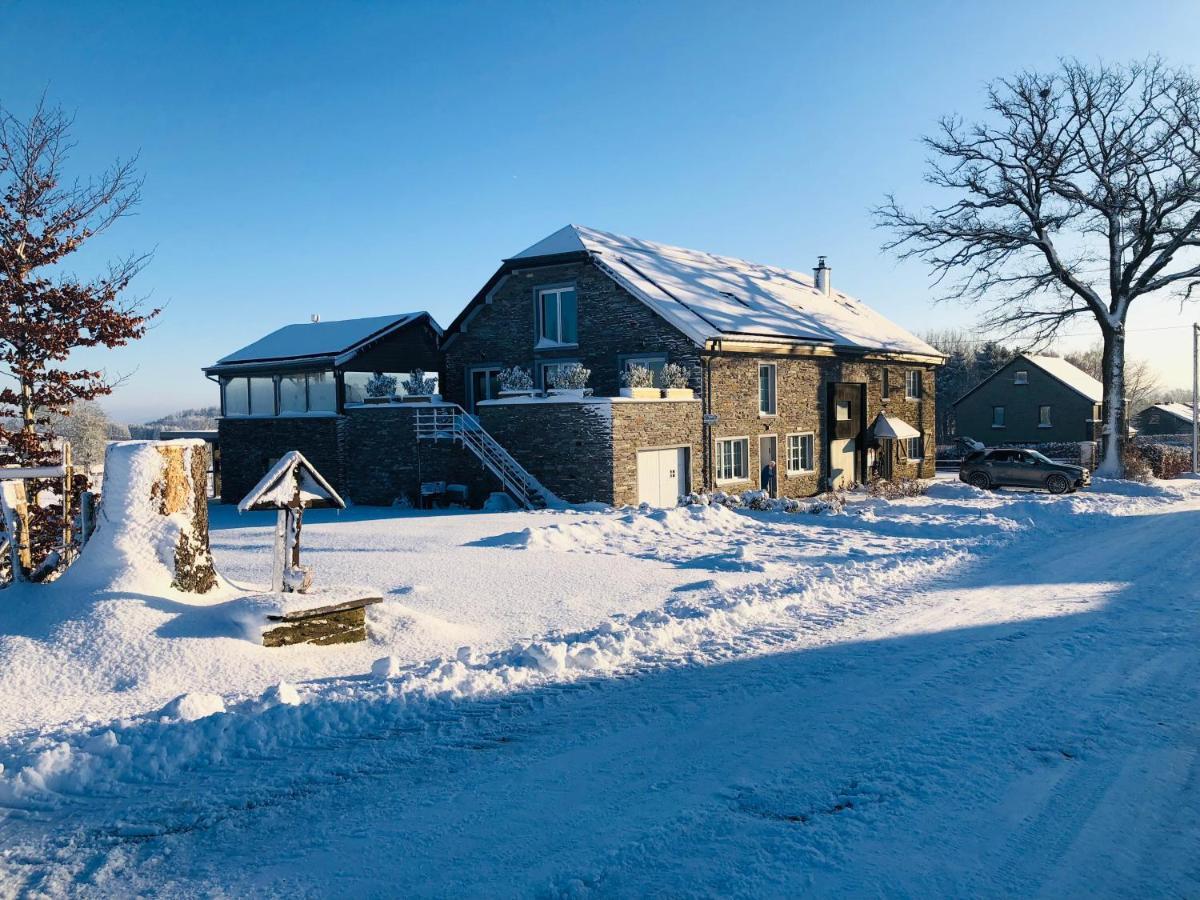Pegasus I - 2 Chambres De Luxe, Cuisine, Salon, 2 Terrasses Et Sauna Vielsalm Exterior photo